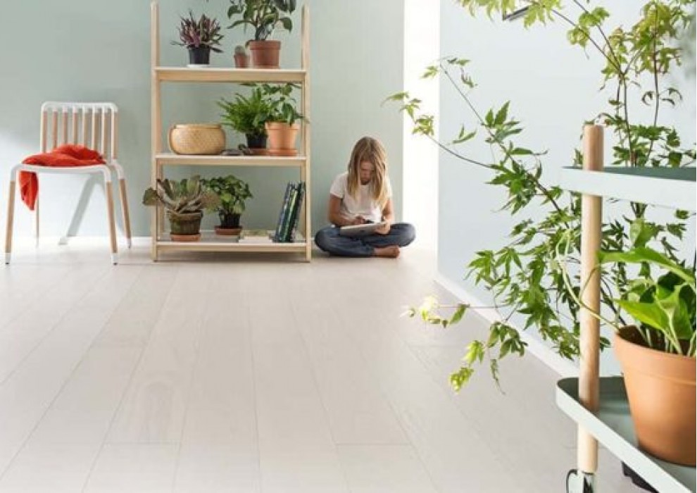 Timberwise - White Cream